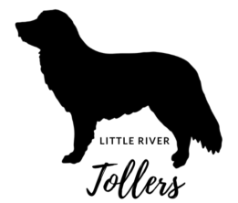 littlerivertollers.com